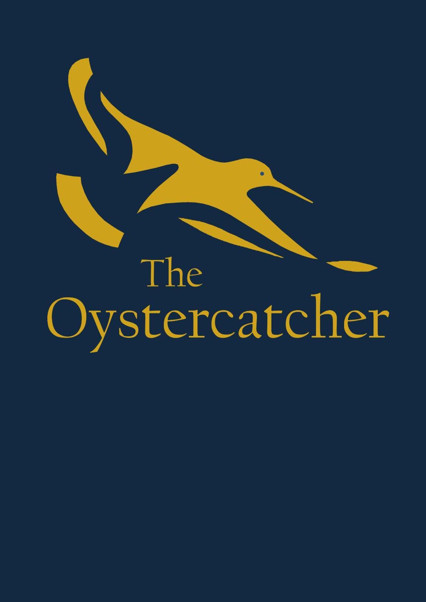 The Oystercatcher Lodge Карлингфорд Экстерьер фото